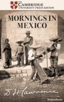 cover of MORNINGS IN MEXICO