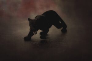 crouching panther by Maria Monroe